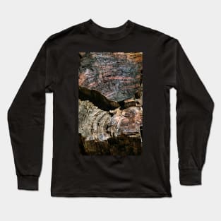 Petrified Forest Abstract Long Sleeve T-Shirt